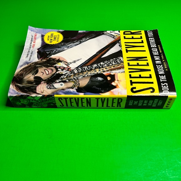 Steven Tyler “Does The Noise In My Head Bother You?” - Picture 2 of 16